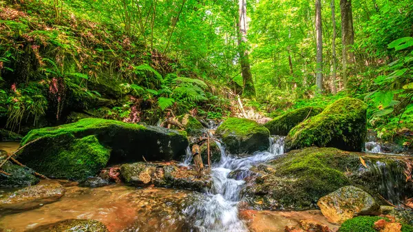 Escouloubres Vadisi 'nin manzarası karın altında, Pireneler' de, Fransa 'da