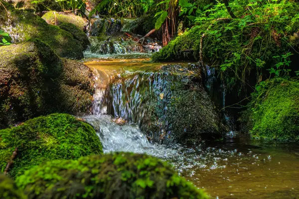 Escouloubres Vadisi 'nin manzarası karın altında, Pireneler' de, Fransa 'da