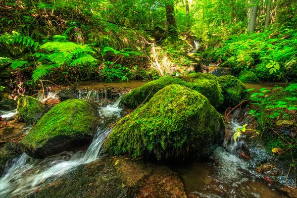 Escouloubres Vadisi 'nin manzarası karın altında, Pireneler' de, Fransa 'da