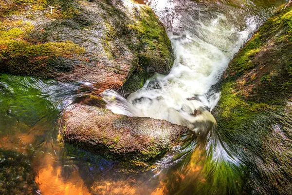 Fransa 'nın güneyindeki Lamontlari komünü Tarn Nehri. Ormanda yaz aylarında küçük şelaleleri olan kayalar üzerinde çalılıklar ve yeşil yosun..