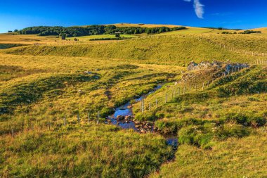 Fransa 'nın merkezindeki Aubrac Nehri' nde akarsu. Issız ovalardan geçen ve Occitania vadilerindeki eski bir taş köprünün altından geçen bir su yolu..