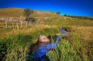 Fransa 'nın merkezindeki Aubrac Nehri' nde akarsu. Issız ovalardan geçen ve Occitania vadilerindeki eski bir taş köprünün altından geçen bir su yolu..