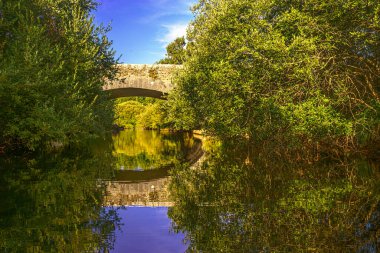 Fransa 'nın güneyinde, akşam üzeri yeşilliğin ortasında taş köprüsü olan bir nehir. Hrault 'taki Arn Nehri' nin manzarası.