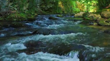 Axat Vadisi 'ndeki Aude Nehri' nin 20 saniyelik videosu. Güney Fransa ormanlarında küçük şelaleleri olan kayaların arasından sular akar..
