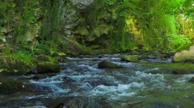 Axat Vadisi 'ndeki Aude Nehri' nin 20 saniyelik videosu. Güney Fransa ormanlarında küçük şelaleleri olan kayaların arasından sular akar..