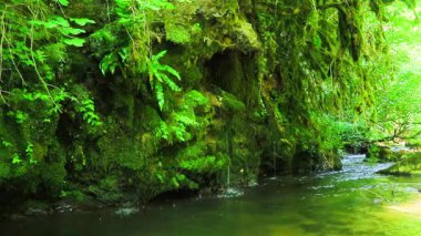 Axat Vadisi 'ndeki Aude Nehri' nin 20 saniyelik videosu. Güney Fransa ormanlarında küçük şelaleleri olan kayaların arasından sular akar..