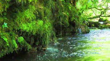 Axat Vadisi 'ndeki Aude Nehri' nin 20 saniyelik videosu. Güney Fransa ormanlarında küçük şelaleleri olan kayaların arasından sular akar..