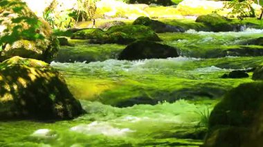 Axat Vadisi 'ndeki Aude Nehri' nin 20 saniyelik videosu. Güney Fransa ormanlarında küçük şelaleleri olan kayaların arasından sular akar..