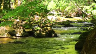 Axat Vadisi 'ndeki Aude Nehri' nin 20 saniyelik videosu. Güney Fransa ormanlarında küçük şelaleleri olan kayaların arasından sular akar..