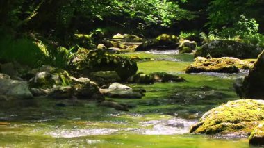 Axat Vadisi 'ndeki Aude Nehri' nin 20 saniyelik videosu. Güney Fransa ormanlarında küçük şelaleleri olan kayaların arasından sular akar..