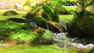 Axat Vadisi 'ndeki Aude Nehri' nin 20 saniyelik videosu. Güney Fransa ormanlarında küçük şelaleleri olan kayaların arasından sular akar..