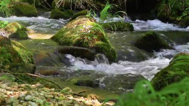 Axat Vadisi 'ndeki Aude Nehri' nin 20 saniyelik videosu. Güney Fransa ormanlarında küçük şelaleleri olan kayaların arasından sular akar..