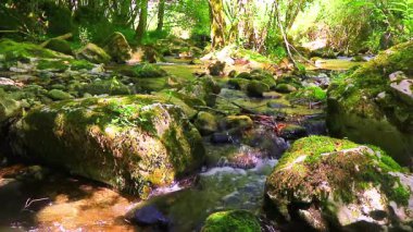 Axat Vadisi 'ndeki Aude Nehri' nin 20 saniyelik videosu. Güney Fransa ormanlarında küçük şelaleleri olan kayaların arasından sular akar..