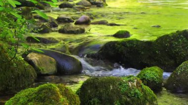Axat Vadisi 'ndeki Aude Nehri' nin 20 saniyelik videosu. Güney Fransa ormanlarında küçük şelaleleri olan kayaların arasından sular akar..