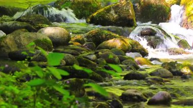 Axat Vadisi 'ndeki Aude Nehri' nin 20 saniyelik videosu. Güney Fransa ormanlarında küçük şelaleleri olan kayaların arasından sular akar..
