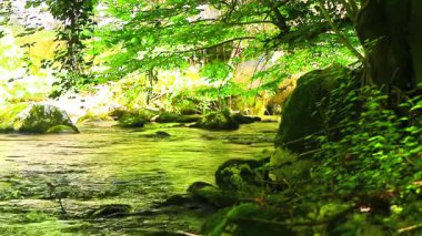 Axat Vadisi 'ndeki Aude Nehri' nin 20 saniyelik videosu. Güney Fransa ormanlarında küçük şelaleleri olan kayaların arasından sular akar..