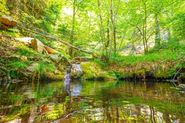 Güney Fransa 'nın Haut Languedoc bölgesinde akarsu manzarası. Hrault ormanlarından akan küçük şelaleler ve su..