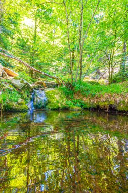 Güney Fransa 'nın Haut Languedoc bölgesinde akarsu manzarası. Hrault ormanlarından akan küçük şelaleler ve su..