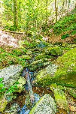 Güney Fransa 'nın Haut Languedoc bölgesinde akarsu manzarası. Hrault ormanlarından akan küçük şelaleler ve su..
