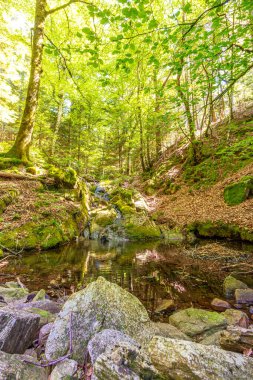 Güney Fransa 'nın Haut Languedoc bölgesinde akarsu manzarası. Hrault ormanlarından akan küçük şelaleler ve su..