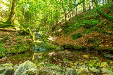 Güney Fransa 'nın Haut Languedoc bölgesinde akarsu manzarası. Hrault ormanlarından akan küçük şelaleler ve su..