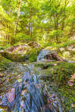 Güney Fransa 'nın Haut Languedoc bölgesinde akarsu manzarası. Hrault ormanlarından akan küçük şelaleler ve su..