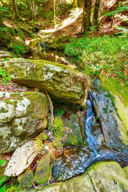 Güney Fransa 'nın Haut Languedoc bölgesinde akarsu manzarası. Hrault ormanlarından akan küçük şelaleler ve su..