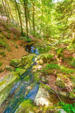 Güney Fransa 'nın Haut Languedoc bölgesinde akarsu manzarası. Hrault ormanlarından akan küçük şelaleler ve su..
