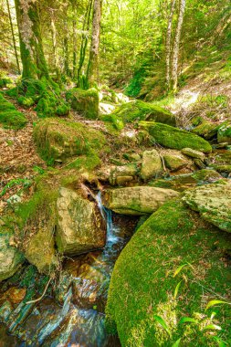 Güney Fransa 'nın Haut Languedoc bölgesinde akarsu manzarası. Hrault ormanlarından akan küçük şelaleler ve su..