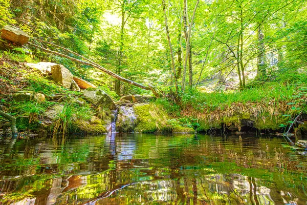 Güney Fransa 'nın Haut Languedoc bölgesinde akarsu manzarası. Hrault ormanlarından akan küçük şelaleler ve su..