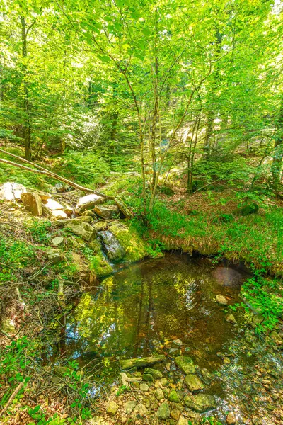 Güney Fransa 'nın Haut Languedoc bölgesinde akarsu manzarası. Hrault ormanlarından akan küçük şelaleler ve su..