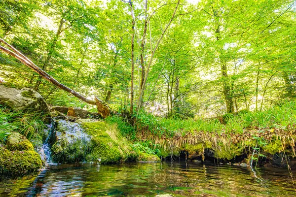 Güney Fransa 'nın Haut Languedoc bölgesinde akarsu manzarası. Hrault ormanlarından akan küçük şelaleler ve su..