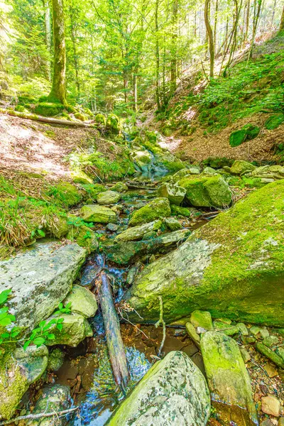 Güney Fransa 'nın Haut Languedoc bölgesinde akarsu manzarası. Hrault ormanlarından akan küçük şelaleler ve su..