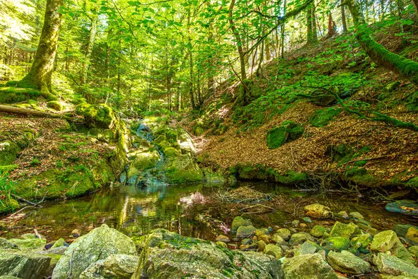 Güney Fransa 'nın Haut Languedoc bölgesinde akarsu manzarası. Hrault ormanlarından akan küçük şelaleler ve su..