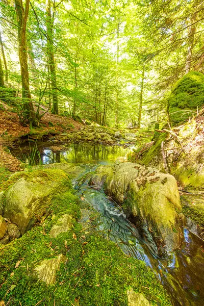 Güney Fransa 'nın Haut Languedoc bölgesinde akarsu manzarası. Hrault ormanlarından akan küçük şelaleler ve su..