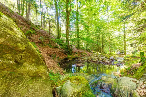 Güney Fransa 'nın Haut Languedoc bölgesinde akarsu manzarası. Hrault ormanlarından akan küçük şelaleler ve su..