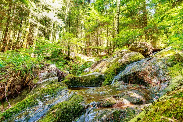 Güney Fransa 'nın Haut Languedoc bölgesinde akarsu manzarası. Hrault ormanlarından akan küçük şelaleler ve su..