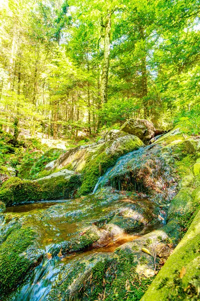 Güney Fransa 'nın Haut Languedoc bölgesinde akarsu manzarası. Hrault ormanlarından akan küçük şelaleler ve su..