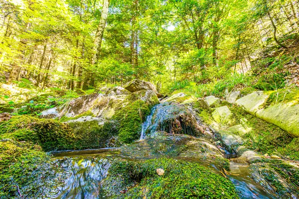 Güney Fransa 'nın Haut Languedoc bölgesinde akarsu manzarası. Hrault ormanlarından akan küçük şelaleler ve su..