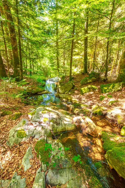 Güney Fransa 'nın Haut Languedoc bölgesinde akarsu manzarası. Hrault ormanlarından akan küçük şelaleler ve su..