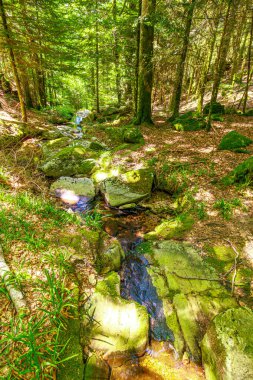 Güney Fransa 'nın Haut Languedoc bölgesinde akarsu manzarası. Hrault ormanlarından akan küçük şelaleler ve su..