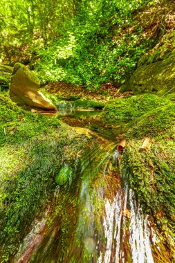 Güney Fransa 'nın Haut Languedoc bölgesinde akarsu manzarası. Hrault ormanlarından akan küçük şelaleler ve su..