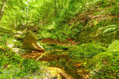 Güney Fransa 'nın Haut Languedoc bölgesinde akarsu manzarası. Hrault ormanlarından akan küçük şelaleler ve su..