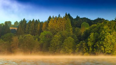 Occitani 'deki La Ravire Gölü. Sabahın erken saatlerinde Fransa' nın güneyindeki suda sisli bir manzara..