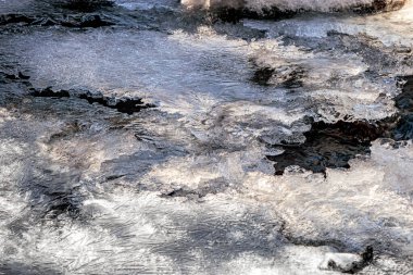 Fransa 'nın güneyinde kışın akarsu. Pireneler' de, köknar ağaçları arasında buzlu ve karlı küçük bir derenin manzarası. Occitanie 'deki Les Angles komünü Pyrnes Orientales' de.