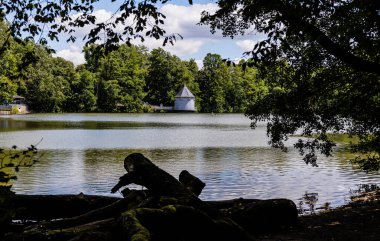 Yazın güzel park ve gölet.