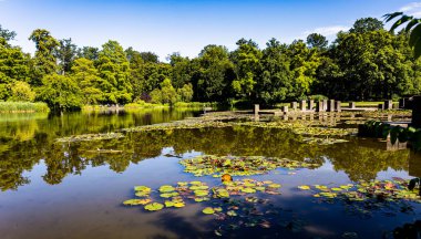 Parkta çeşmesi olan bir gölet, güzel bir yaz manzarası