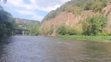 Arkasında yeşil bir orman olan nehir.