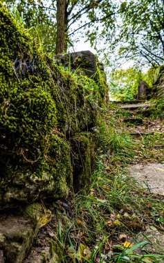 Ormanda eski bir taş