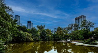 Frankfurt 'taki şehir parkının manzarası.
